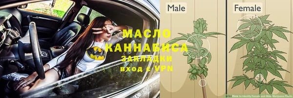 сатива Майский